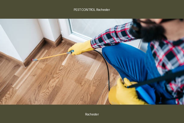 PEST CONTROL Rochester